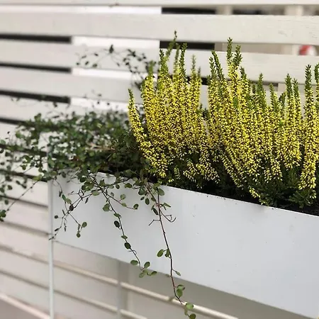 Snowcrystal With Free Jacuzzi And Sauna 罗瓦涅米