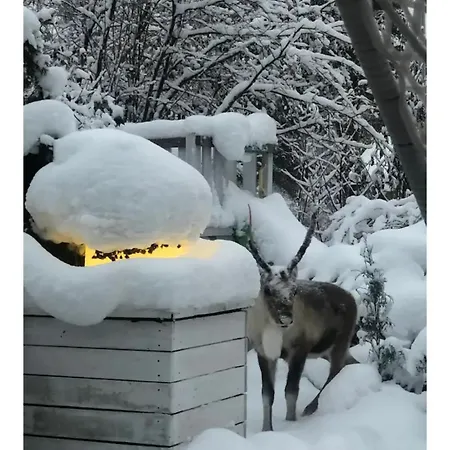 Snowcrystal With Free Jacuzzi And Sauna *