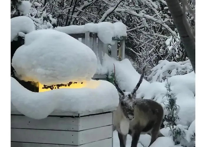 Snowcrystal With Free Jacuzzi And Sauna *